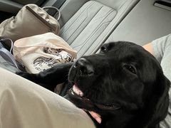 -贝康宠物医院·犬猫全科·小动物特色诊疗中心(东环路店)
