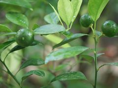 -厦门良筑精品酒店(厦门中山路店)