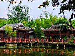 -棠湖公园