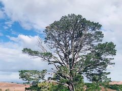 -霍比特人村