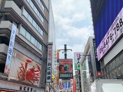 -蟹道乐(道顿堀本店)