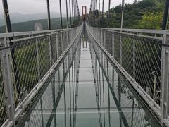 -铜川市金锁关石林
