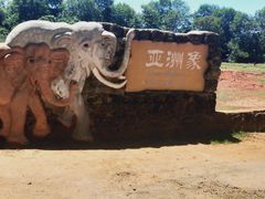 -海南热带野生动植物园