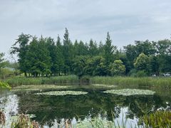 -白鹭湾湿地公园