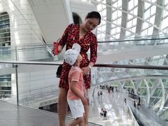 -凤凰中心