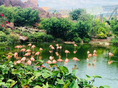 -芽庄珍珠岛游乐园