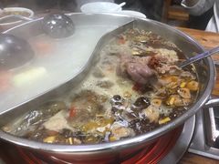 -肥婆麻辣火锅.顺德首创药材麻辣火锅(容桂店)