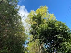 -白云山风景名胜区