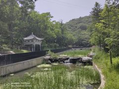 -白水寺森林公园