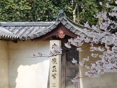 -醍醐寺