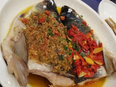 -上海银珠苑度假村-地面停车场