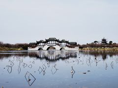 -上海海湾国家森林公园