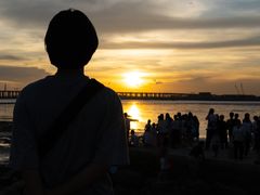 -宝安西湾红树林湿地公园