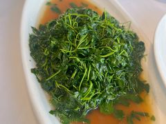 清炒金花菜-天福苑(崇宁路店)