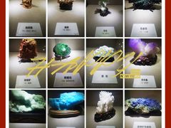 -陕西自然博物馆