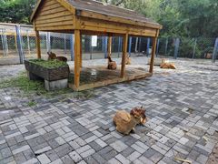 -长白岛森林公园