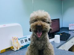 -瑞派宠物医院(锦江店)