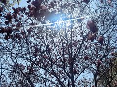 -白塘生态植物园