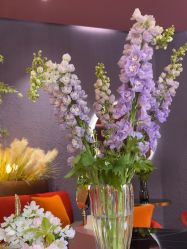 -花隐·美芙炫海菲秀皮肤管理中心