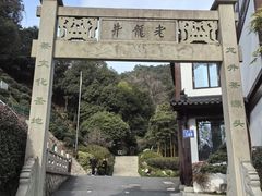 -龙井村