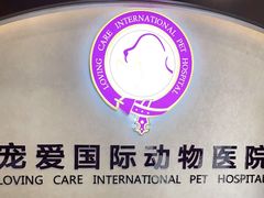 -宠爱国际动物医院·疑难骨科·心肾内科·皮肤科(太阳宫店)
