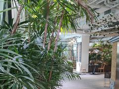 -大视光学•LINDBERG林德伯格•全球手工眼镜集合店(王府井店)