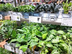 -鹿岛会员店(熙地港店)