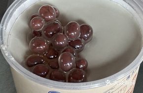 Black Bean Tofu Pudding