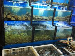 水产区-老东镇啤酒屋海鲜加工·蒸汽海鲜·海鲜烧烤(台东店)