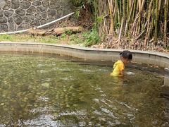 -罗浮山嘉宝田森林温泉度假酒店