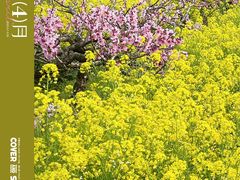 -南汇桃花村