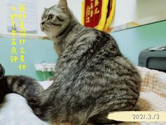 -全心全意连锁动物医院(石景山店)