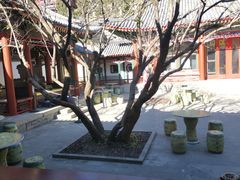 -宫事颐庭·老佛爷贵寿下午茶(颐和园店)