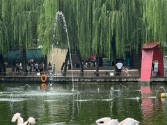 -成都动物园