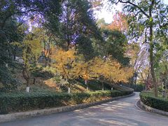 -北极阁公园