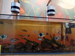 -小有天灌汤包老菜馆(南一马路店)