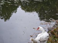 -宁波九龙湖开元度假村