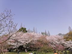 -苏州上方山国家森林公园