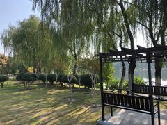 -滨湖塘西河公园