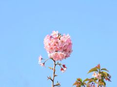 -福建鲤鱼洲酒店