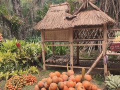 -中国科学院西双版纳热带植物园