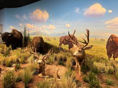 -陕西自然博物馆