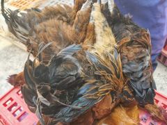 -元谋凉鸡店(百年老店)