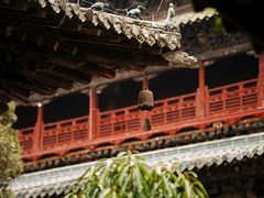 -报恩寺(平武县)