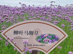 -灵山胜境