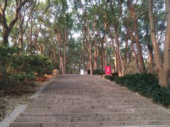 -上海佘山国家森林公园西佘山园