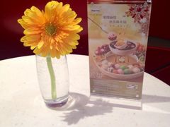 装饰花-哈根达斯(卓展店)