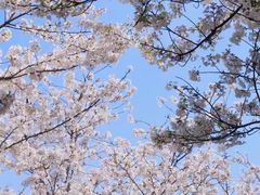 -苏州上方山国家森林公园