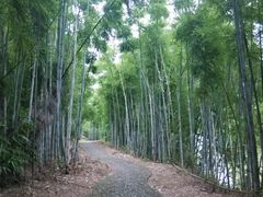 -苏家围·东江画廊旅游景区
