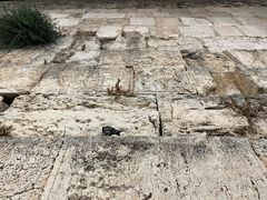 -耶路撒冷古城